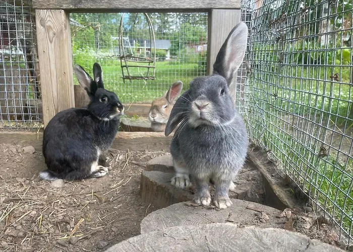 Lepola By Interhome Hébergement de vacances *